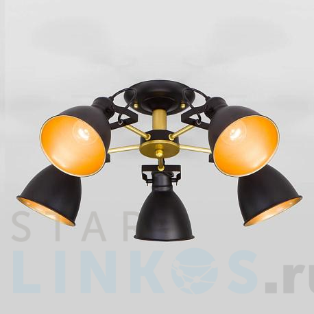 Купить Потолочная люстра Eurosvet Denley 70112/5 черный за 10 500 руб. в Туле фото 2 Купить с доставкой Потолочная люстра Eurosvet Denley 70112/5 черный в Туле фото 2