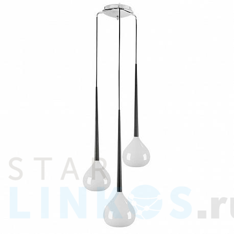 Купить Подвесная люстра Lightstar Forma 808230 за 22 561 руб. в Туле фото 2 Купить с доставкой Подвесная люстра Lightstar Forma 808230 в Туле фото 2