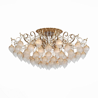 Купить Потолочная люстра ST Luce Frutti SL659.302.09 в Туле
