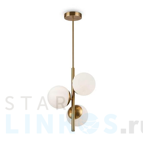 Купить Подвесной светильник Zing FR5199PL-03BS за 10 990 руб. в Туле фото 2 Купить с доставкой Подвесной светильник Zing FR5199PL-03BS в Туле фото 2