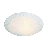 Купить Настенно-потолочный светильник Apeyron 16-180 в Туле