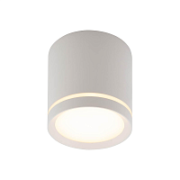 Купить Накладной светодиодный светильник Denkirs DK4016-WH в Туле