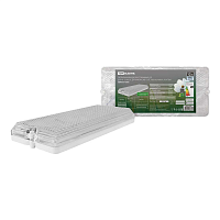 Купить Потолочный светодиодный светильник TDM Electric Led ДБО 01-12-002 SQ0353-0202 в Туле