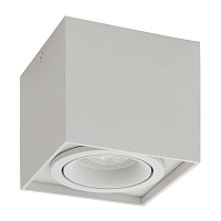 Купить Потолочный светильник Denkirs DK2003-WH в Туле