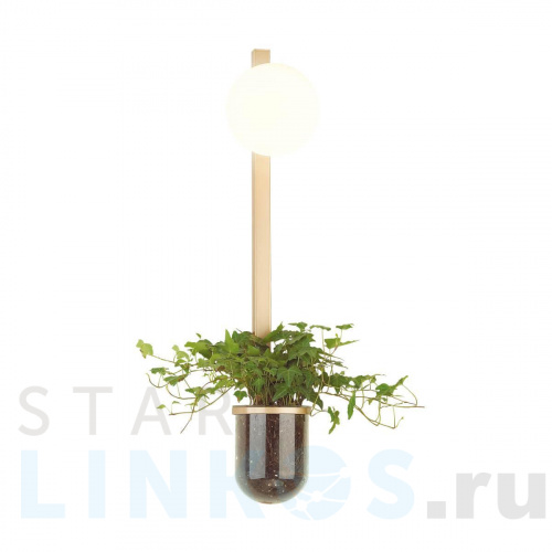 Купить Настенный светильник Odeon Light Walli Flower 4682/1WB за 8 700 руб. в Туле Купить с доставкой Настенный светильник Odeon Light Walli Flower 4682/1WB в Туле