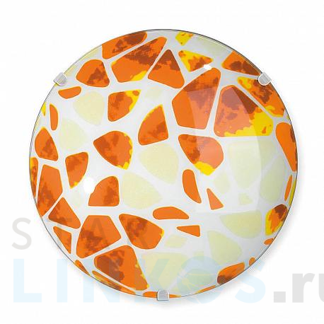 Купить Настенно-потолочный светильник Vitaluce V6179/1A за 722 руб. в Туле фото 2 Купить с доставкой Настенно-потолочный светильник Vitaluce V6179/1A в Туле фото 2