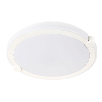 Купить Потолочный светодиодный светильник Arte Lamp Biscotti A2679PL-72WH в Туле