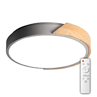 Купить Потолочный светодиодный светильник Jazzway PPB Sсandic-R 5037151 в Туле