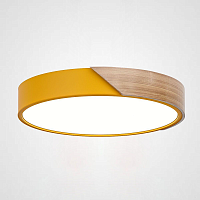 Купить Потолочный светодиодный светильник Imperium Loft Clip 193042-26 в Туле