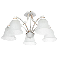 Купить Потолочная люстра Arte Lamp Emma A2713PL-5WG в Туле