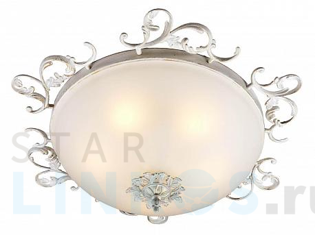 Купить Потолочный светильник Omnilux OML-76517-05 за 14 100 руб. в Туле фото 2 Купить с доставкой Потолочный светильник Omnilux OML-76517-05 в Туле фото 2