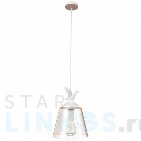 Купить Подвесной светильник Loft IT Wildlife Loft1807 за 5 020 руб. в Туле фото 2 Купить с доставкой Подвесной светильник Loft IT Wildlife Loft1807 в Туле фото 2