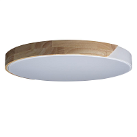 Купить Потолочный светодиодный светильник Loft IT Axel 10004/36 white в Туле