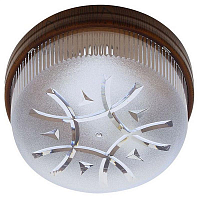 Купить Потолочный светильник Horoz Глоп Фавори 400-232-100 HRZ00001398 в Туле