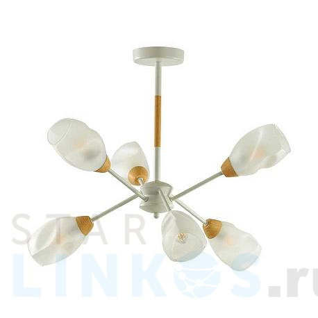 Купить Потолочная люстра Lumion County Kendra 5210/6C за 7 400 руб. в Туле фото 2 Купить с доставкой Потолочная люстра Lumion County Kendra 5210/6C в Туле фото 2