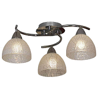 Купить Потолочная люстра Lussole Zungoli GRLSF-1603-03 в Туле