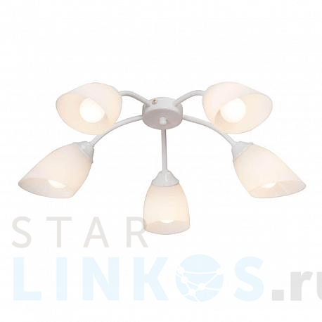 Купить Потолочная люстра Vitaluce V3194/5PL за 2 954 руб. в Туле фото 2 Купить с доставкой Потолочная люстра Vitaluce V3194/5PL в Туле фото 2