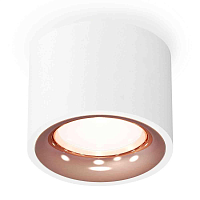Купить Комплект накладного светильника Ambrella light Techno Spot XS7510025 SWH/PPG белый песок/золото розовое полированное (C7510, N7015) в Туле