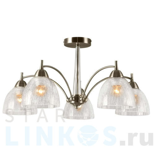 Купить Потолочная люстра Rivoli Doreen 2079-305 Б0055614 за 15 453 руб. в Туле Купить с доставкой Потолочная люстра Rivoli Doreen 2079-305 Б0055614 в Туле