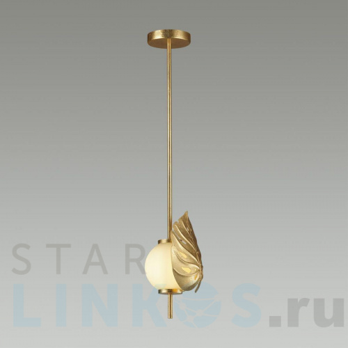 Купить Подвесной светильник Odeon Light Modern Jungle 4864/1A за 7 010 руб. в Туле фото 3 Купить с доставкой Подвесной светильник Odeon Light Modern Jungle 4864/1A в Туле фото 3