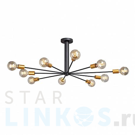 Купить Потолочная люстра Vitaluce V4790-1/10PL за 13 351 руб. в Туле фото 2 Купить с доставкой Потолочная люстра Vitaluce V4790-1/10PL в Туле фото 2