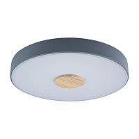 Купить Потолочный светодиодный светильник Loft IT Axel 10003/24 grey в Туле