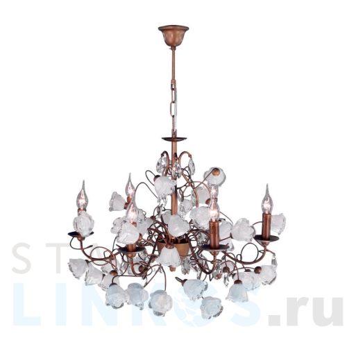 Купить Подвесная люстра Citilux Rosetta EL324P06.1 за 29 990 руб. в Туле Купить с доставкой Подвесная люстра Citilux Rosetta EL324P06.1 в Туле