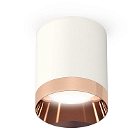 Купить Комплект потолочного светильника Ambrella light Techno Spot XC (C6301, N6135) XS6301025 в Туле