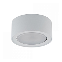 Купить Потолочный светильник Nowodvorski Flea 8202 в Туле