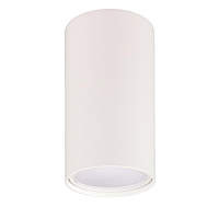 Купить Накладной потолочный светильник Ritter Arton 59950 0 в Туле