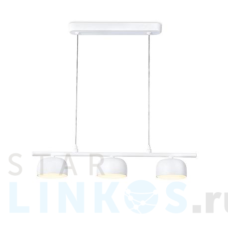 Купить Подвесной светильник Ambrella light Techno Spot Techno TN71032 за 5 343 руб. в Туле фото 2 Купить с доставкой Подвесной светильник Ambrella light Techno Spot Techno TN71032 в Туле фото 2