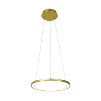 Купить Подвесной светодиодный светильник Favourite Giro 2937-4P в Туле
