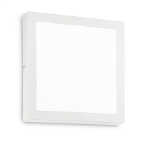 Купить Настенно-потолочный светодиодный светильник Ideal Lux Universal D40 Square 240374 в Туле