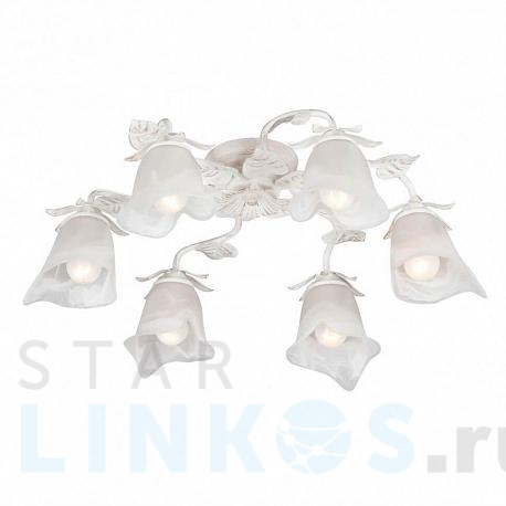Купить Потолочная люстра Vitaluce V1636-0/6PL за 7 061 руб. в Туле фото 2 Купить с доставкой Потолочная люстра Vitaluce V1636-0/6PL в Туле фото 2