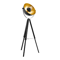 Купить Торшер Eglo Covaleda 49618 в Туле