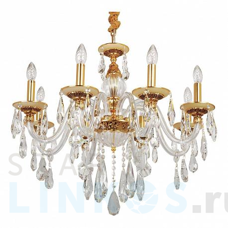 Купить Подвесная люстра Abrasax Tina 3119/8GO за 64 413 руб. в Туле фото 2 Купить с доставкой Подвесная люстра Abrasax Tina 3119/8GO в Туле фото 2