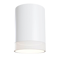 Купить Потолочный светильник Maytoni Pauline C008CW-01W в Туле