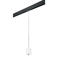 Купить Трековый светильник Lightstar Rullo (216336+595957) PRORP336 в Туле