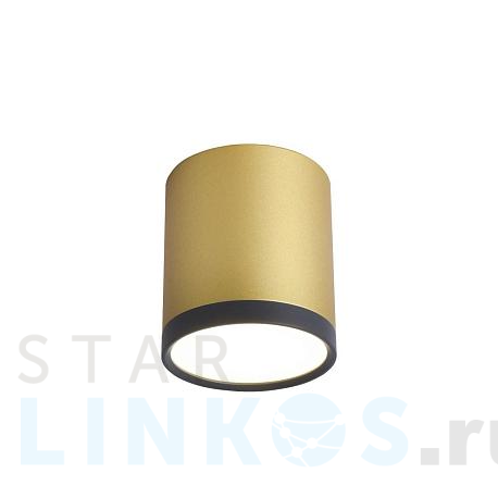 Купить Потолочный светильник Favourite Baral 3082-1C за 1 900 руб. в Туле фото 2 Купить с доставкой Потолочный светильник Favourite Baral 3082-1C в Туле фото 2