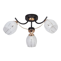 Купить Потолочная люстра Escada 1104/3P в Туле