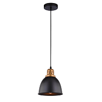 Купить Подвесной светильник Arte Lamp Eurica A4245SP-1BK в Туле