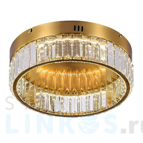 Купить Потолочный светодиодный светильник MyFar Irina MR2010-1CL за 18 995 руб. в Туле фото 2 Купить с доставкой Потолочный светодиодный светильник MyFar Irina MR2010-1CL в Туле фото 2