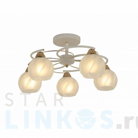 Купить Потолочная люстра Hiper Elba H179-5 за 7 423 руб. в Туле фото 2 Купить с доставкой Потолочная люстра Hiper Elba H179-5 в Туле фото 2