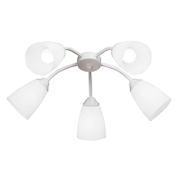 Купить Потолочная люстра Vitaluce V3187-0/5PL в Туле