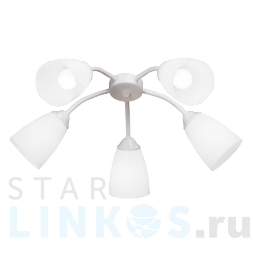 Купить Потолочная люстра Vitaluce V3187-0/5PL за 3 084 руб. в Туле Купить с доставкой Потолочная люстра Vitaluce V3187-0/5PL в Туле