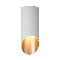 Купить Потолочный светильник Elektrostandard DLN114 GU10 белый/золото a050119 в Туле