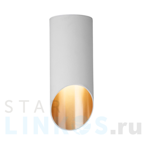 Купить Потолочный светильник Elektrostandard DLN114 GU10 белый/золото a050119 за 983 руб. в Туле Купить с доставкой Потолочный светильник Elektrostandard DLN114 GU10 белый/золото a050119 в Туле