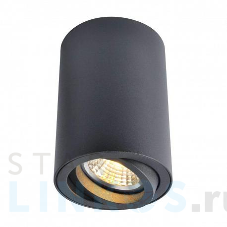 Купить Потолочный светильник Arte Lamp A1560PL-1BK за 1 200 руб. в Туле фото 2 Купить с доставкой Потолочный светильник Arte Lamp A1560PL-1BK в Туле фото 2