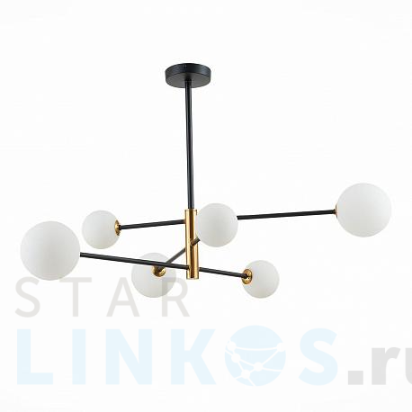 Купить Подвесная люстра Evoluce Arcola SLE220103-06 за 13 540 руб. в Туле фото 2 Купить с доставкой Подвесная люстра Evoluce Arcola SLE220103-06 в Туле фото 2