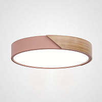 Купить Потолочный светодиодный светильник Imperium Loft Clip 193041-26 в Туле